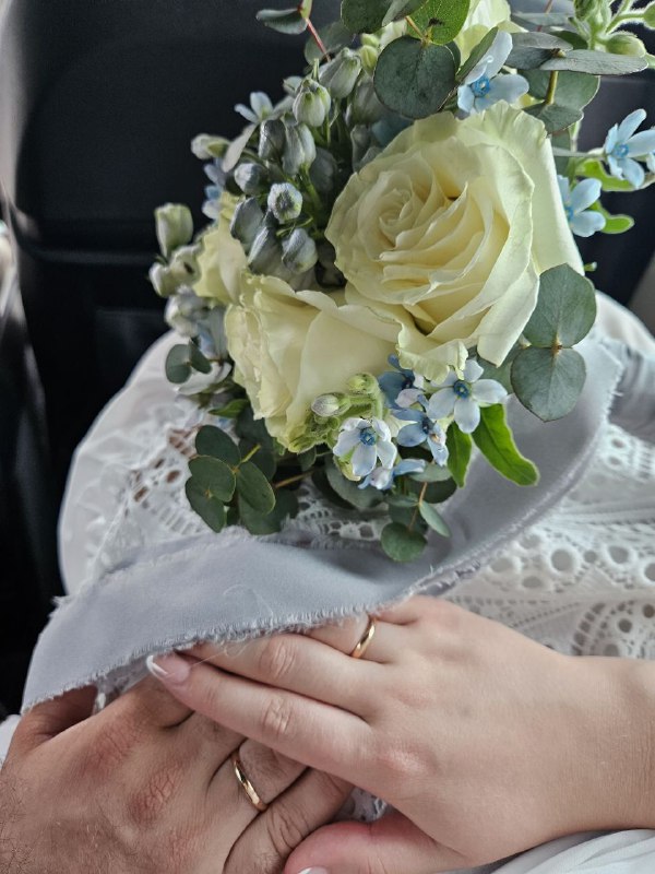 Семья Енотов